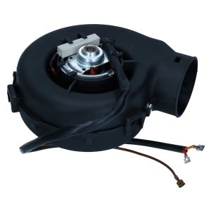 Blower motor